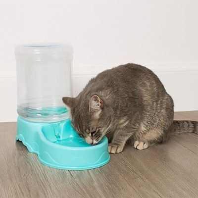Distributeur de croquettes pour Chat | AutoFeed