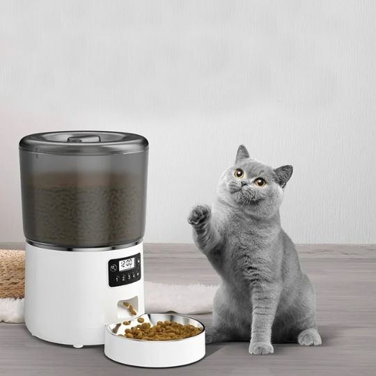 chat assis patte levée à côté distributeur automatique de croquettes blanc