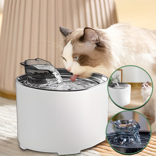 chat bicolor bois fontaine à eau pour chat blanc