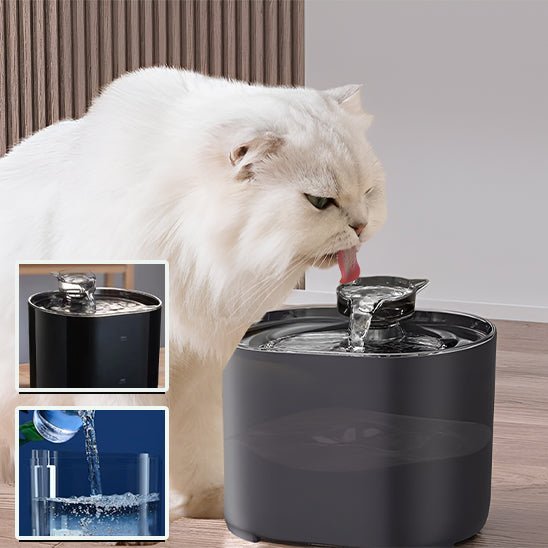 chat blanc bois fontaine à eau pour chat noir