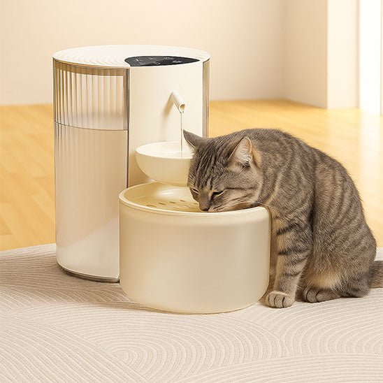 chat bois fontaine a eau