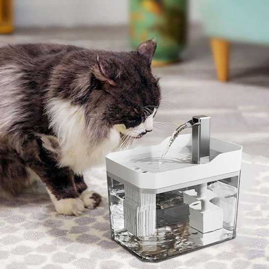 chat gris et blanc boit dans fontaine blanche