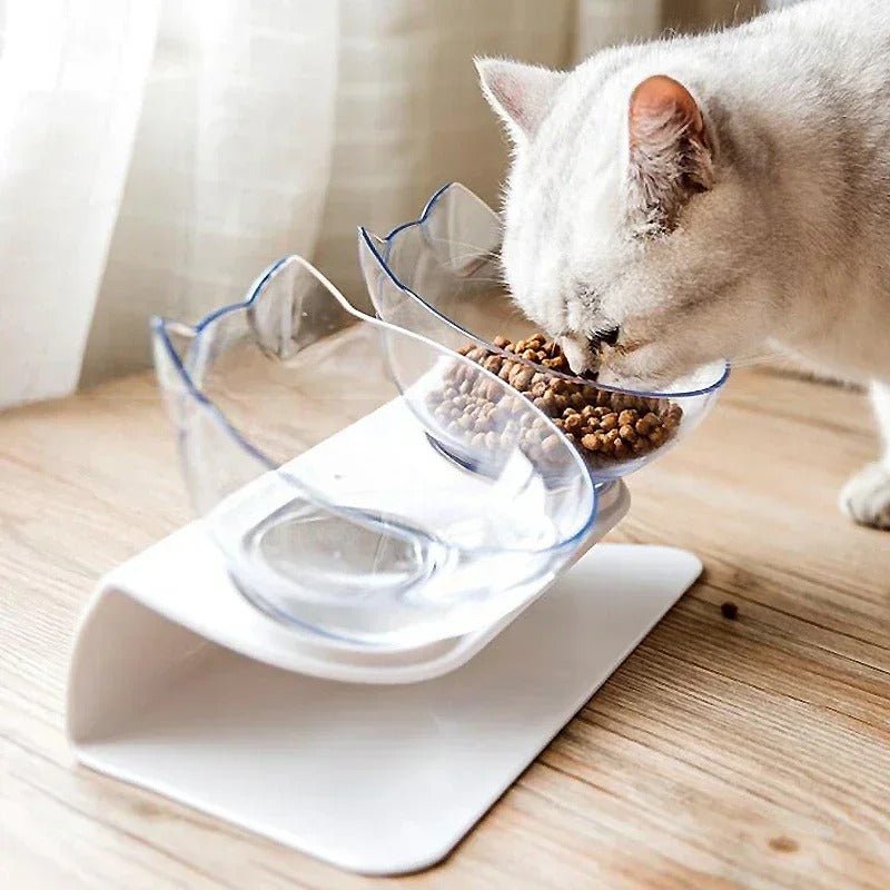 chat mange dans gamelle inclinée