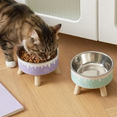 chat mange dans gamelle surélevée violet