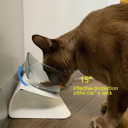 chat mange incliné 15 degrés