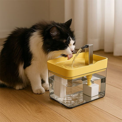 chat noir et blanc boit dans fontaine jaune