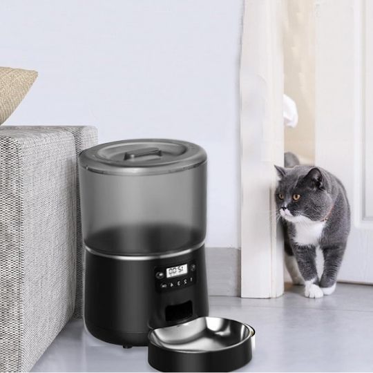 chat observe distributeur automatique croquettes noir