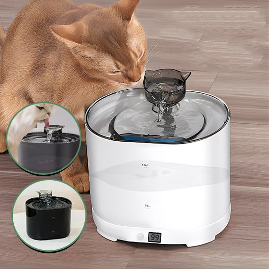 chat rou bois fontaine à eau pour chat blanc