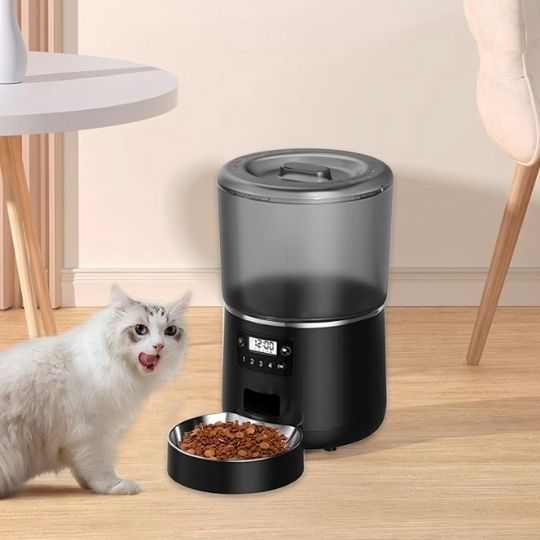 chat satisfait devant distributeur automatique croquettes noir