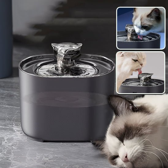 chat serein
fontaine à eau pour chat noir