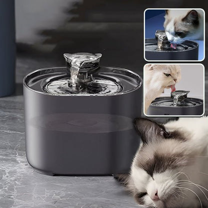 chat serein
fontaine à eau pour chat noir