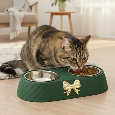 chat tigre mange gamelle double vert