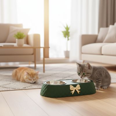 chaton découvre gamelle double verte