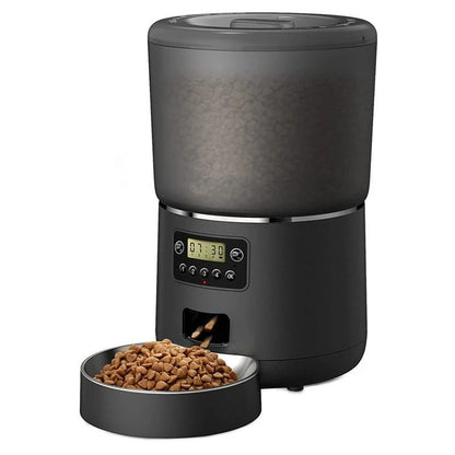 distributeur automatique croquettes actif chat noir