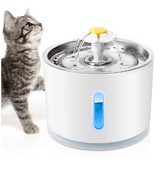 fontaine à eau pour chat chaton