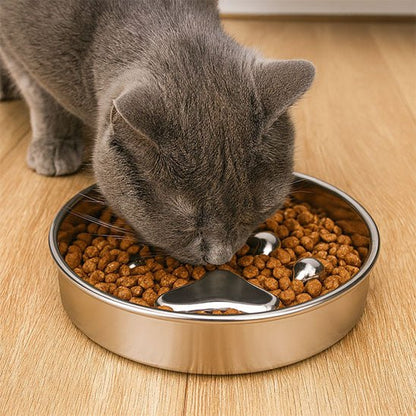 gamelle chat anti glouton chat gris mange