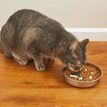 gamelle chat anti glouton chat gris tigre mange