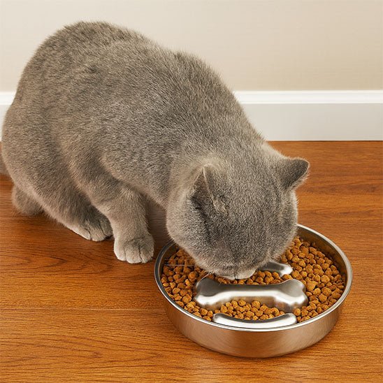 Gamelle chat anti glouton | DigestControl