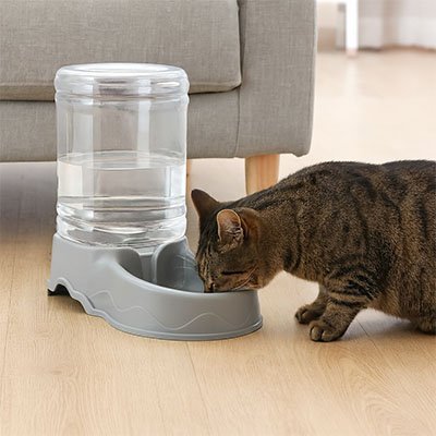 Distributeur de croquettes pour Chat | AutoFeed