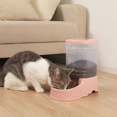 Distributeur de croquettes pour Chat | AutoFeed