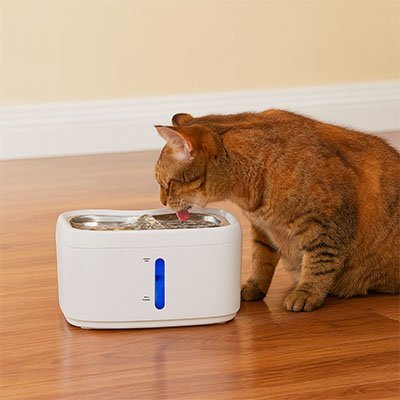 Fontaine a eau Chat | Silent-Flow