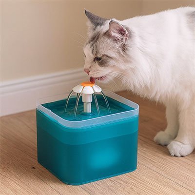 Fontaine à eau Chat | FraisPro