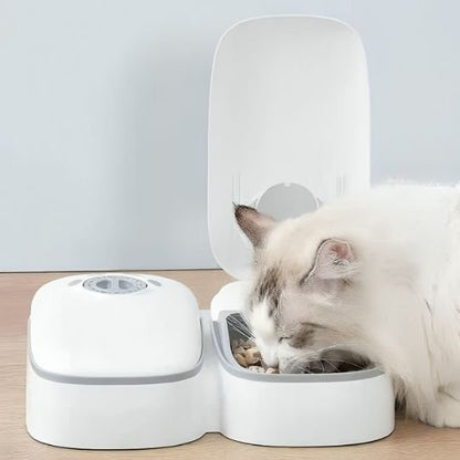 Distributeur automatique de croquettes pour chat | ConnectiPet