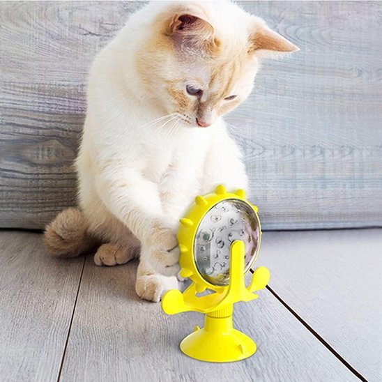 Distributeur de croquettes pour chat | Automatique Premium