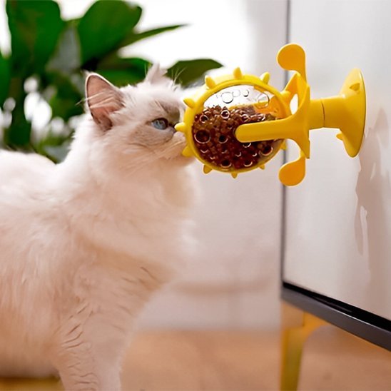 Distributeur de croquettes pour chat | Automatique Premium