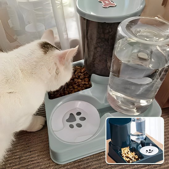 Distributeur de croquettes pour chat | Précision Féline